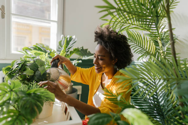 Kamerplanten sneller later Groeien