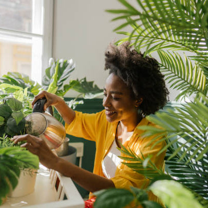 Kamerplanten sneller later Groeien