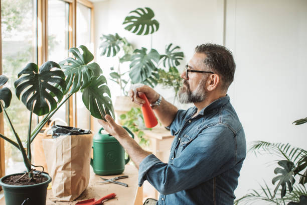 Kamerplanten; Zorgzame Tips bij Hangende Stengels