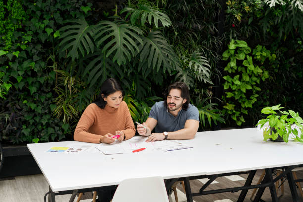 Optimale Standplaatsen voor Je Buitenplanten