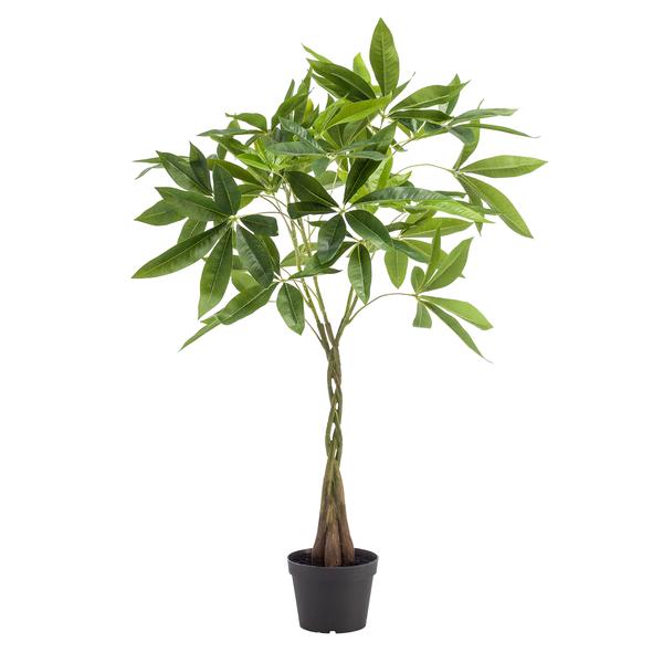 Kunstplant - Pachira aquatica - Geldboom - 90cm