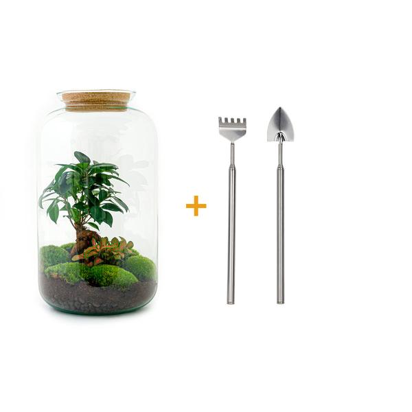 DIY terrarium - Sven Bonsai - ↕ 43 cm - Rake + Shovel