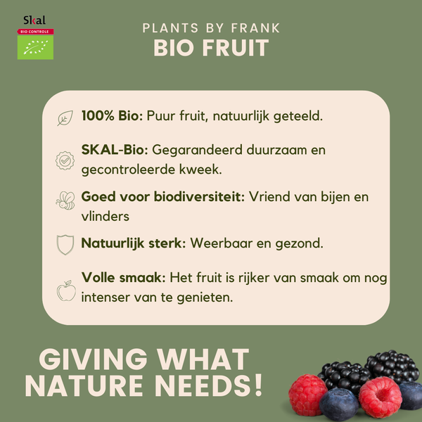 "Zomervruchten" BIO Fruitplanten mix set van 4 verschillende soorten