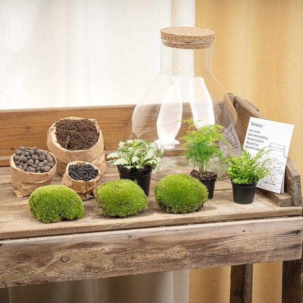 Terrarium Pot - Sam XL + LED - ↑ 35 cm