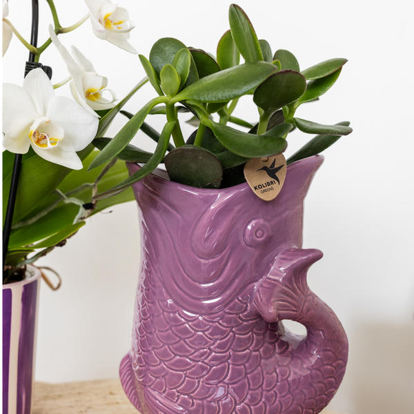 Kolibri Home | Fish  - Lilac - Ø9cm