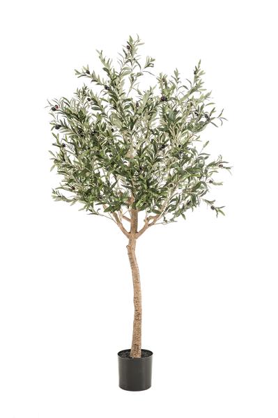 Kunst Olijfboom -  Olea europaea - Olijfboom - 180 cm