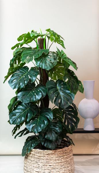 Monstera Deliciosa - kunstplant - 180 cm