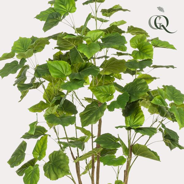 Kunstplant - Ficus umbellate - Afrikaanse vijg - ↕180cm - Ø17cm