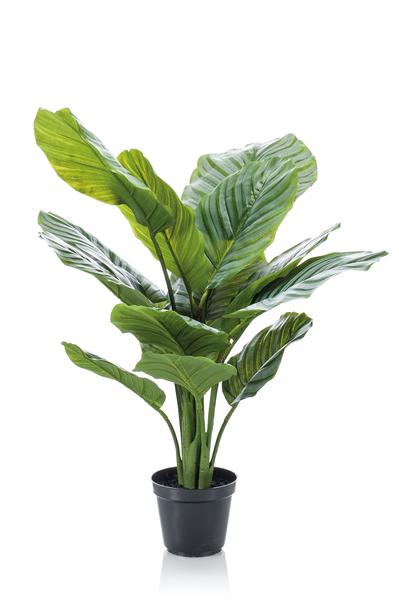 Kunstplant - Calathea Orbifolia - Schaduwplant - 60 cm