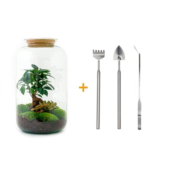 DIY terrarium - Sven Bonsai - ↕ 43 cm - Rake + Shovel + Tweezer