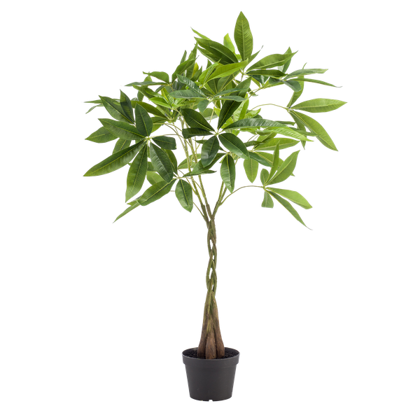 Kunstplant - Pachira aquatica - Geldboom - 90cm