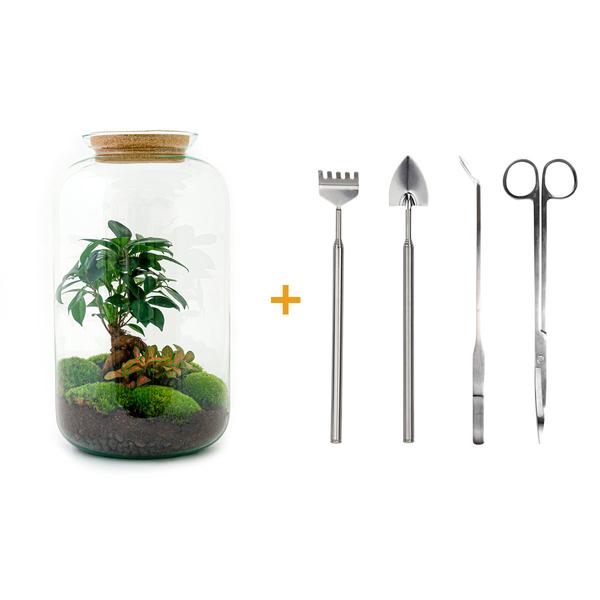 DIY terrarium - Sven Bonsai - ↕ 43 cm - Rake + Shovel + Tweezer + Scissors