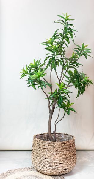 Kunstplant - Dracaena - Drakenboom - 190 cm