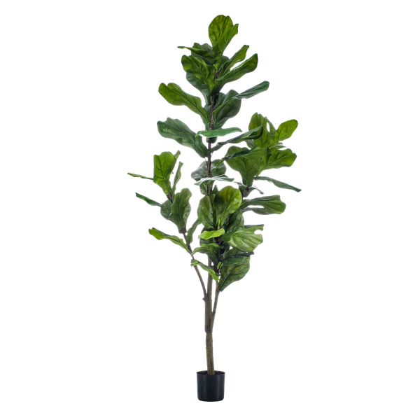 Kunstplant - Ficus Lyrata  - Tabaksplant - 150cm