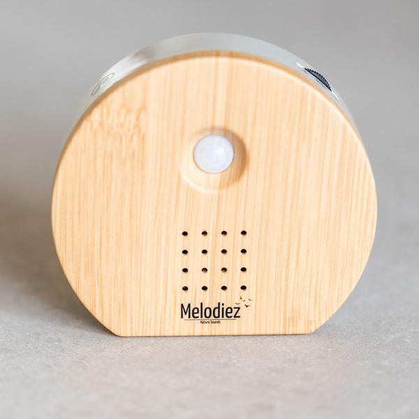 Melodiez music box  - Hout