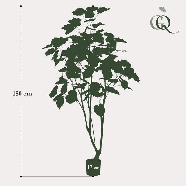 Kunstplant - Ficus umbellate - Afrikaanse vijg - ↕180cm - Ø17cm