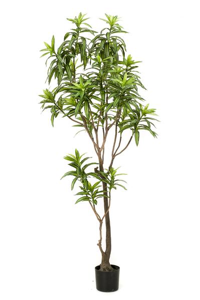 Kunstplant - Dracaena - Drakenboom - 190 cm