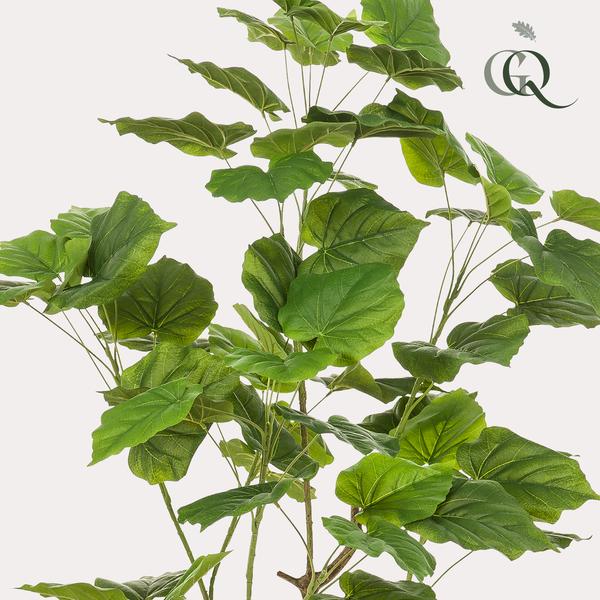 Kunstplant - Ficus umbellate - Afrikaanse vijg - 125cm