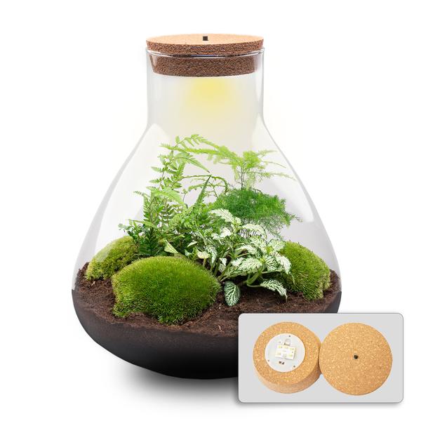 Terrarium Pot - Sam XL + LED - ↑ 35 cm