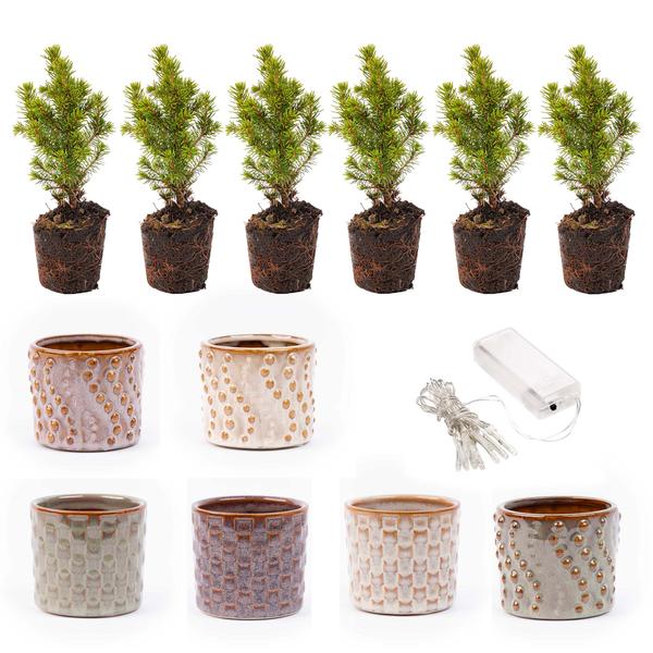 Mini-kerstboom set 6 - Inclusief pot set Madrid + 20 led lights