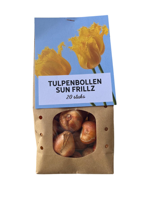 Sun Frillz - Tulpenbollen - 20 stuks - Bloembollen