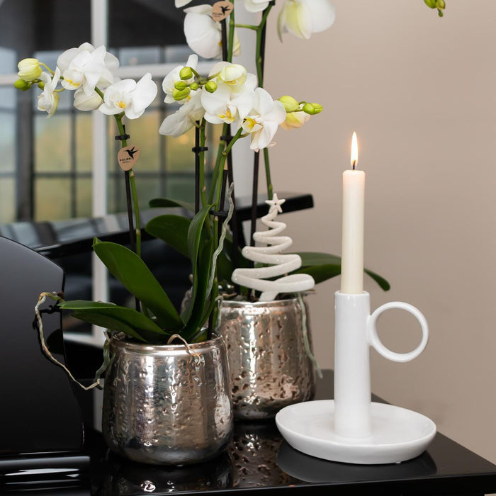 Kolibri Home | Luxury bloempot - Zilveren keramieken sierpot - Ø6cm