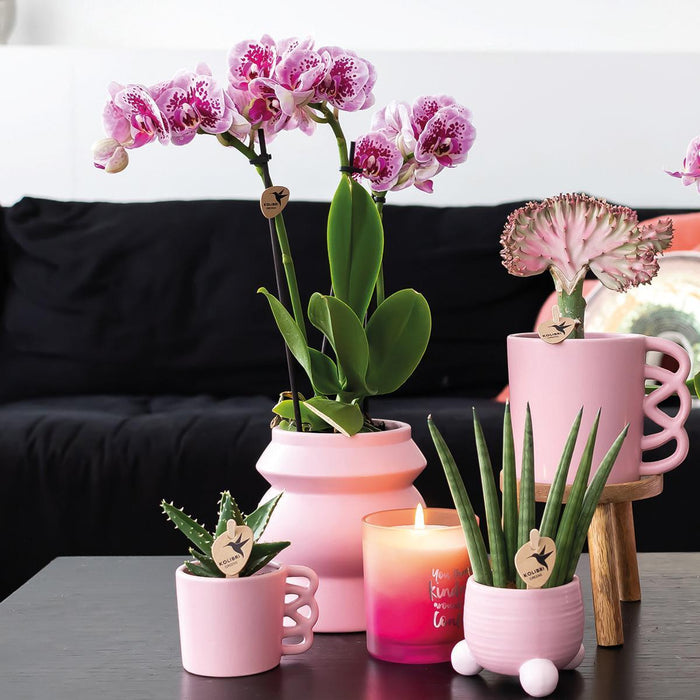 Kolibri Home | Happy Mug roze bloempot - roze keramieken sierpot - Ø6cm