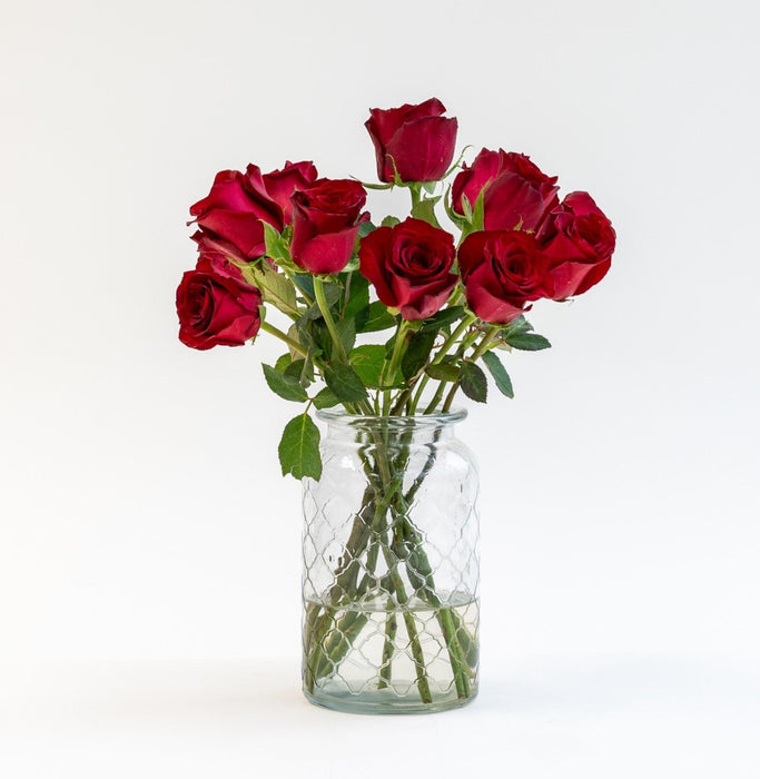 Letterbox Roses Bordeaux | 35cm length