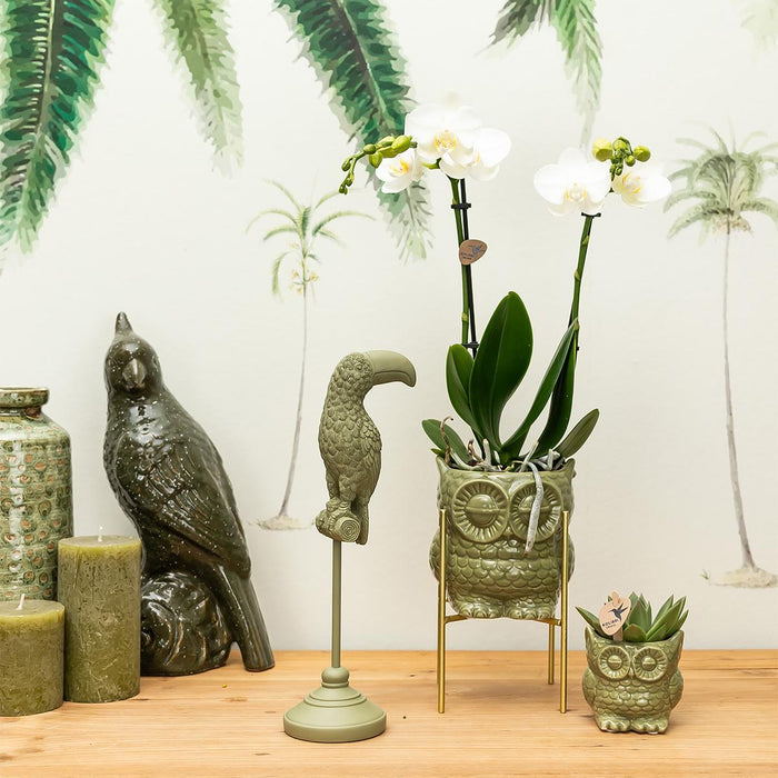 Kolibri Home | Owl bloempot - Groene keramieken sierpot - Ø6cm