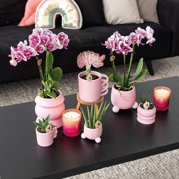 Kolibri Home | Rolling roze bloempot - roze keramieken sierpot - Ø9cm