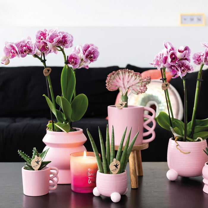 Kolibri Home | Tower roze bloempot - roze keramieken sierpot - Ø9cm