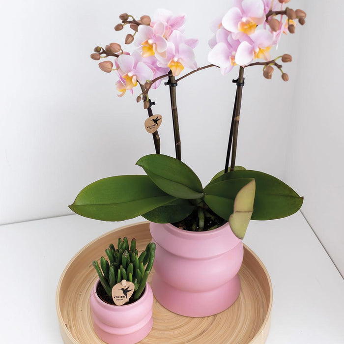 Kolibri Home | Tower roze bloempot - roze keramieken sierpot - Ø9cm