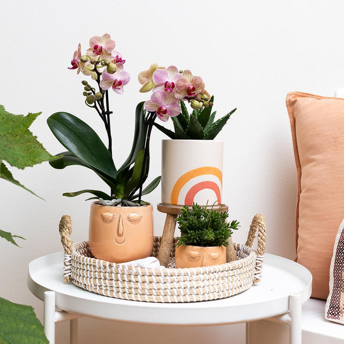 Kolibri Home | Rainbow peach bloempot - Crème keramieken sierpot met print