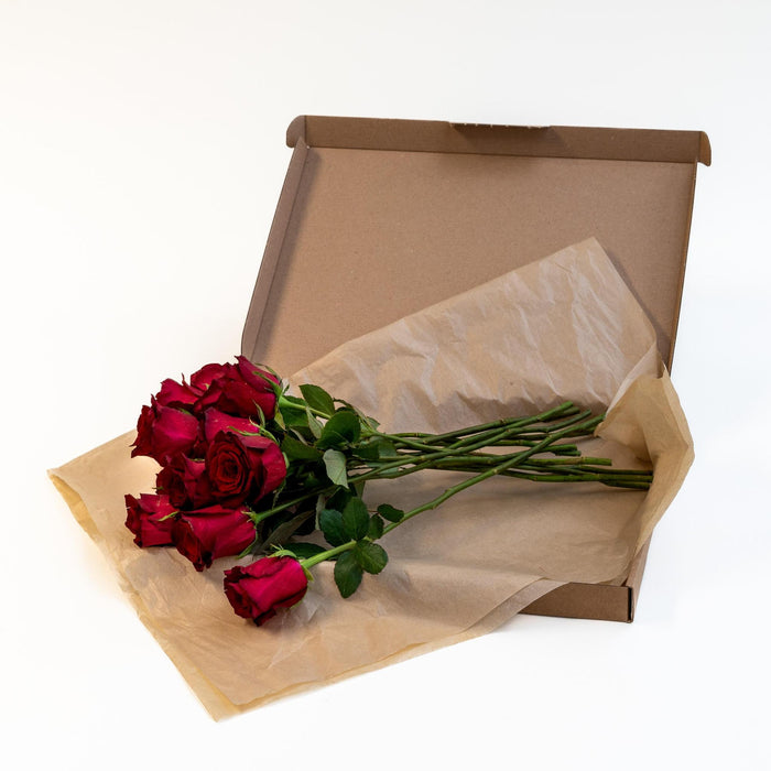 Letterbox Roses Bordeaux | 35cm length