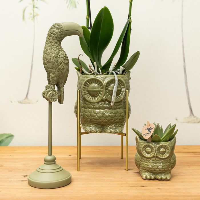 Kolibri Home | Owl bloempot - Groene keramieken sierpot - Ø6cm