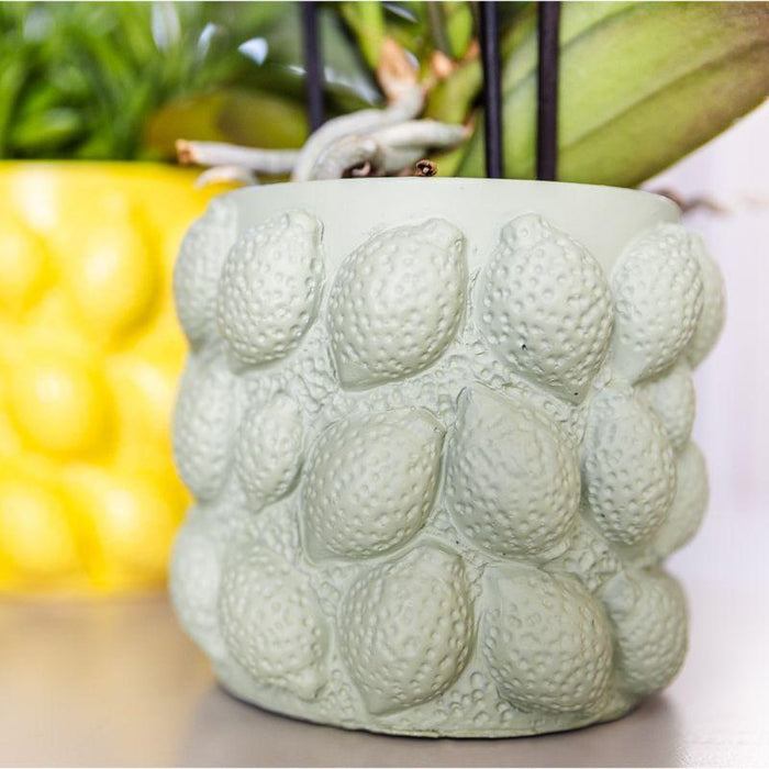 Kolibri Home | Citrus pot groen - Ø12cm