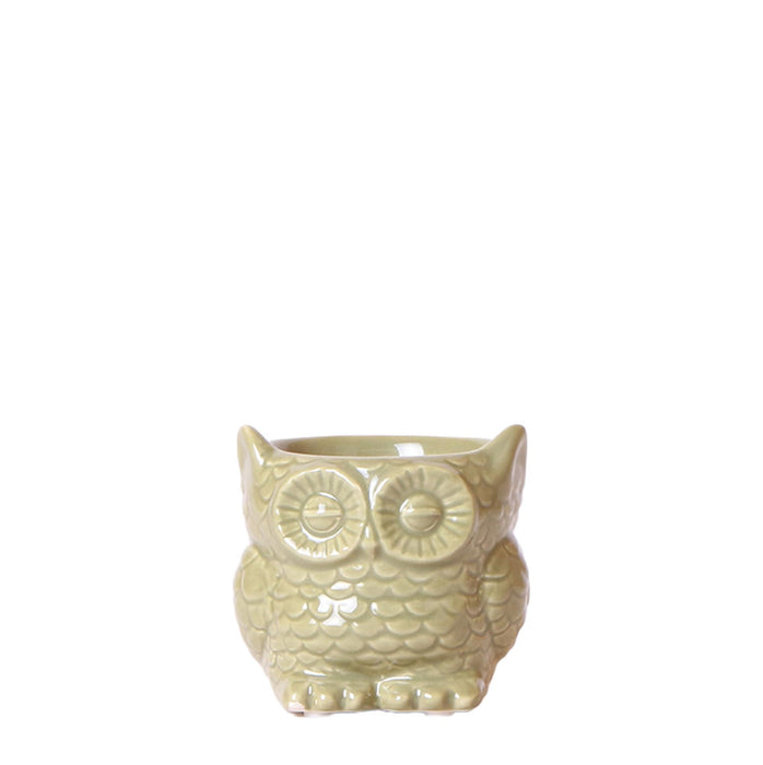 Kolibri Home | Owl bloempot - Groene keramieken sierpot - Ø6cm