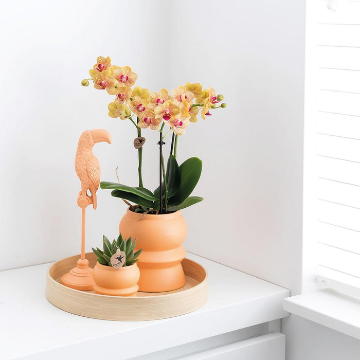 Kolibri Home | Tower peach bloempot - peach kleurige keramieken sierpot - Ø6cm