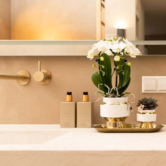 Kolibri Home | Le Chic bloempot - Witte keramieken sierpot met gouden details - Ø9cm