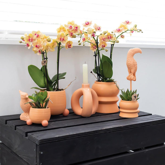 Kolibri Home | Tower peach bloempot - peach kleurige keramieken sierpot - Ø6cm