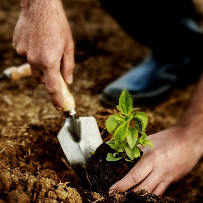 Culvita - Biologische aanplantgrond 40 liter - Geschikt voor vrijwel alle vaste planten, heesters, bomen en coniferen