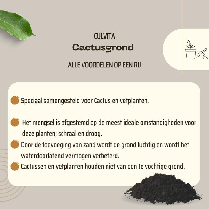 Culvita - Cactusgrond 5 liter - potgrond geschikt voor Cactus en Vetplanten