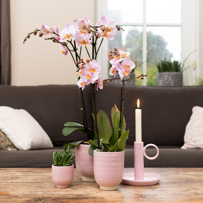 Kolibri Home | Glazed bloempot - Roze keramieken sierpot met glans - Ø6cm