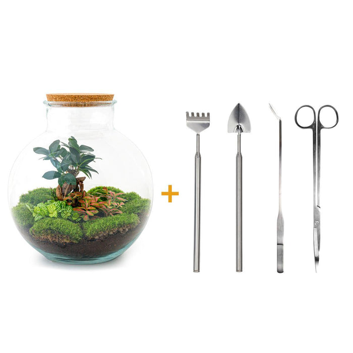 DIY terrarium - Bolder Bob Bonsai - ↕ 30 cm - Rake + Shovel + Tweezer + Scissors