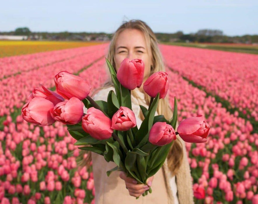 Flowerbulbs Amsterdam - Pink Impression - 15 bloembollen - Maat 12+