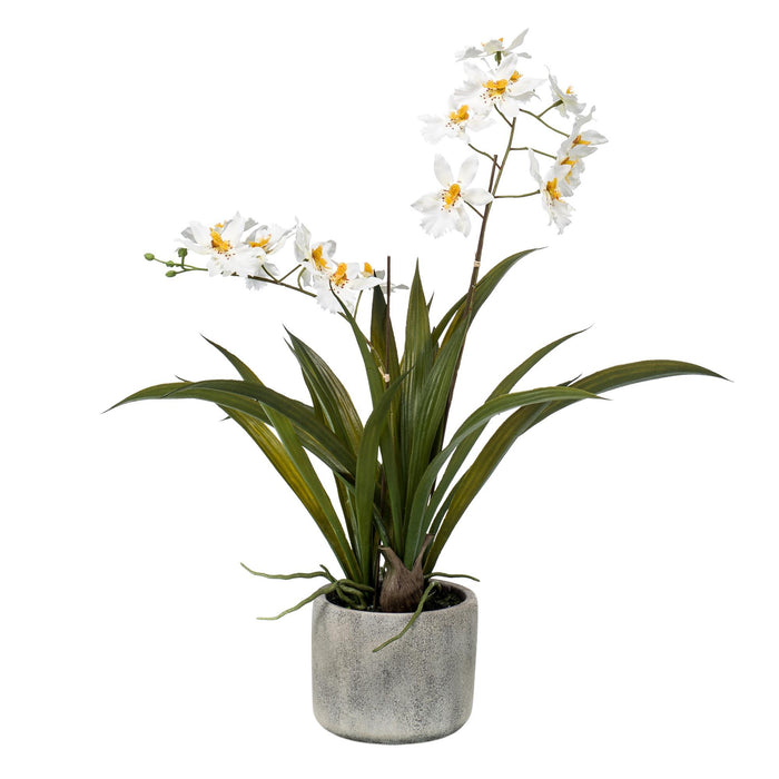 Kunstplant - Orchidee - Wit - 45cm