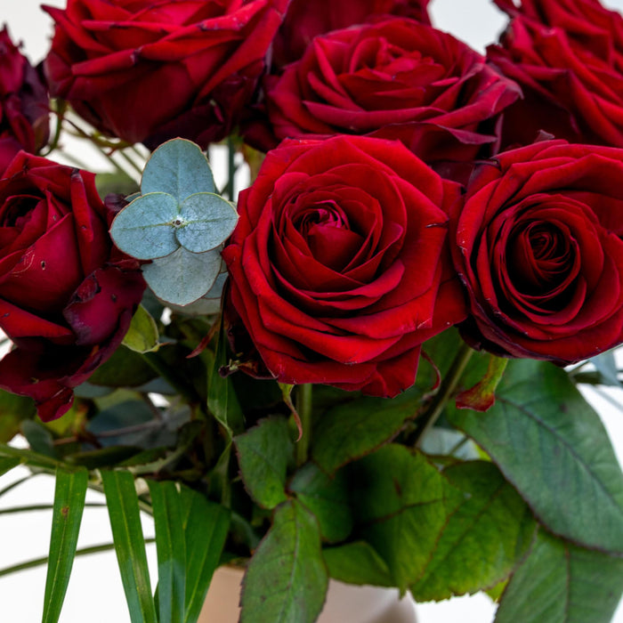 Bouquet Red Roses X Vase Sandy