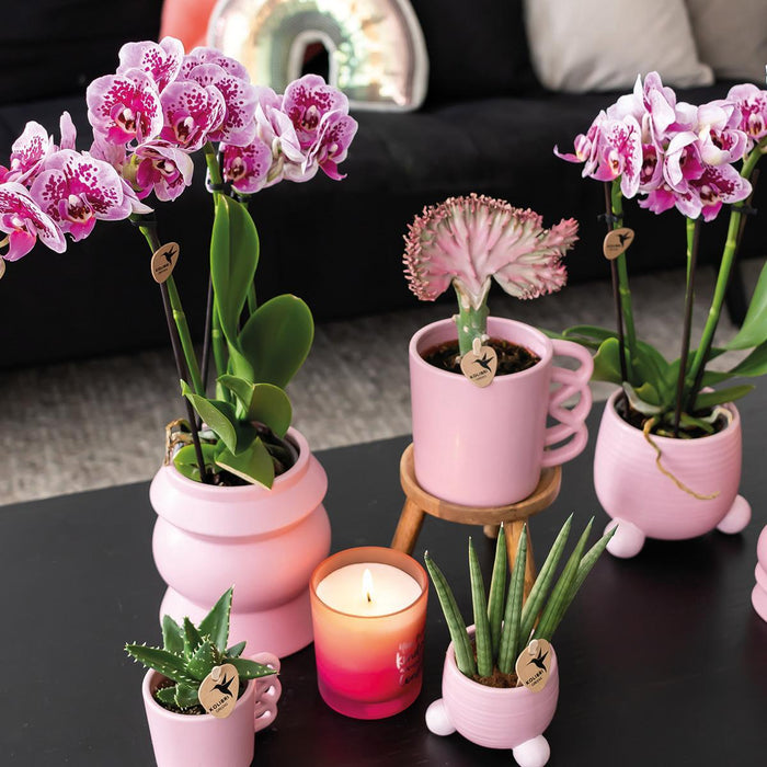 Kolibri Home | Happy Mug roze bloempot - roze keramieken sierpot - Ø6cm