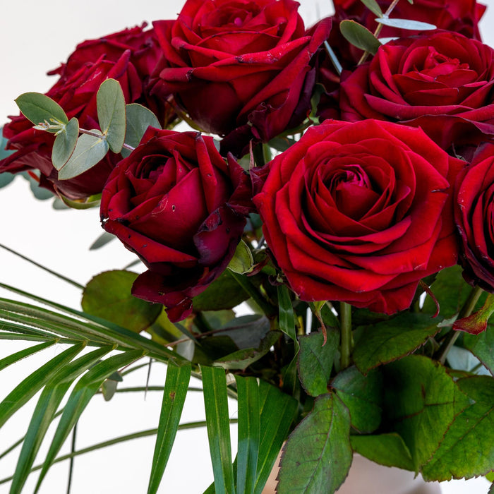 Bouquet Red Roses | 50cm length