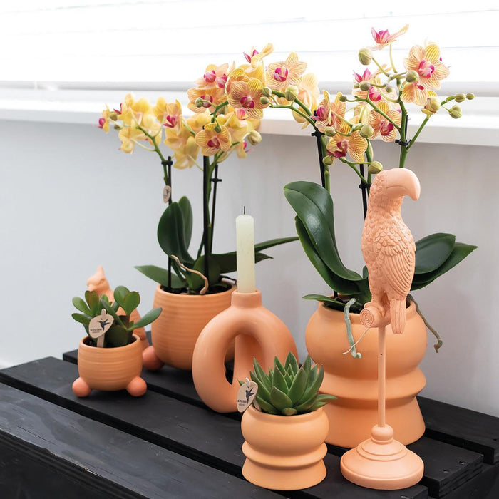 Kolibri Home | Tower peach bloempot - peach kleurige keramieken sierpot - Ø6cm